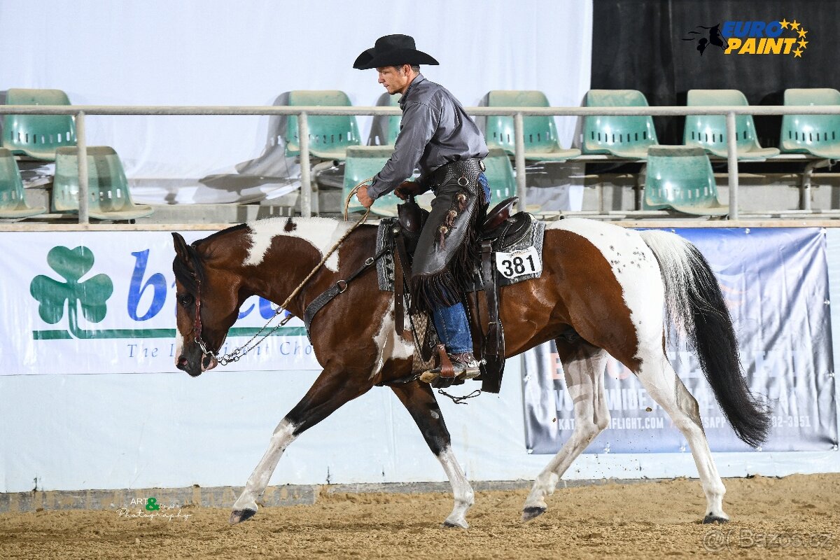 Fantastic Dj Valentin -připouštění homozygotní APH plemeník - 8