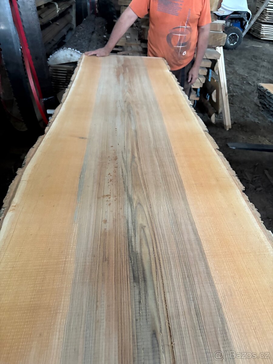 Jasanove rezivo -prkna 35mm - 8