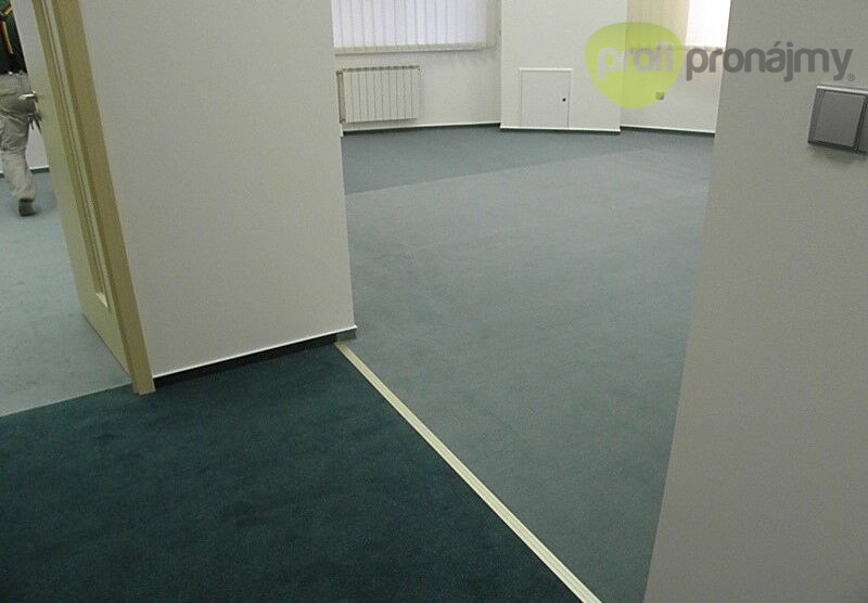 Pronájem kanceláře 161 m² - 8