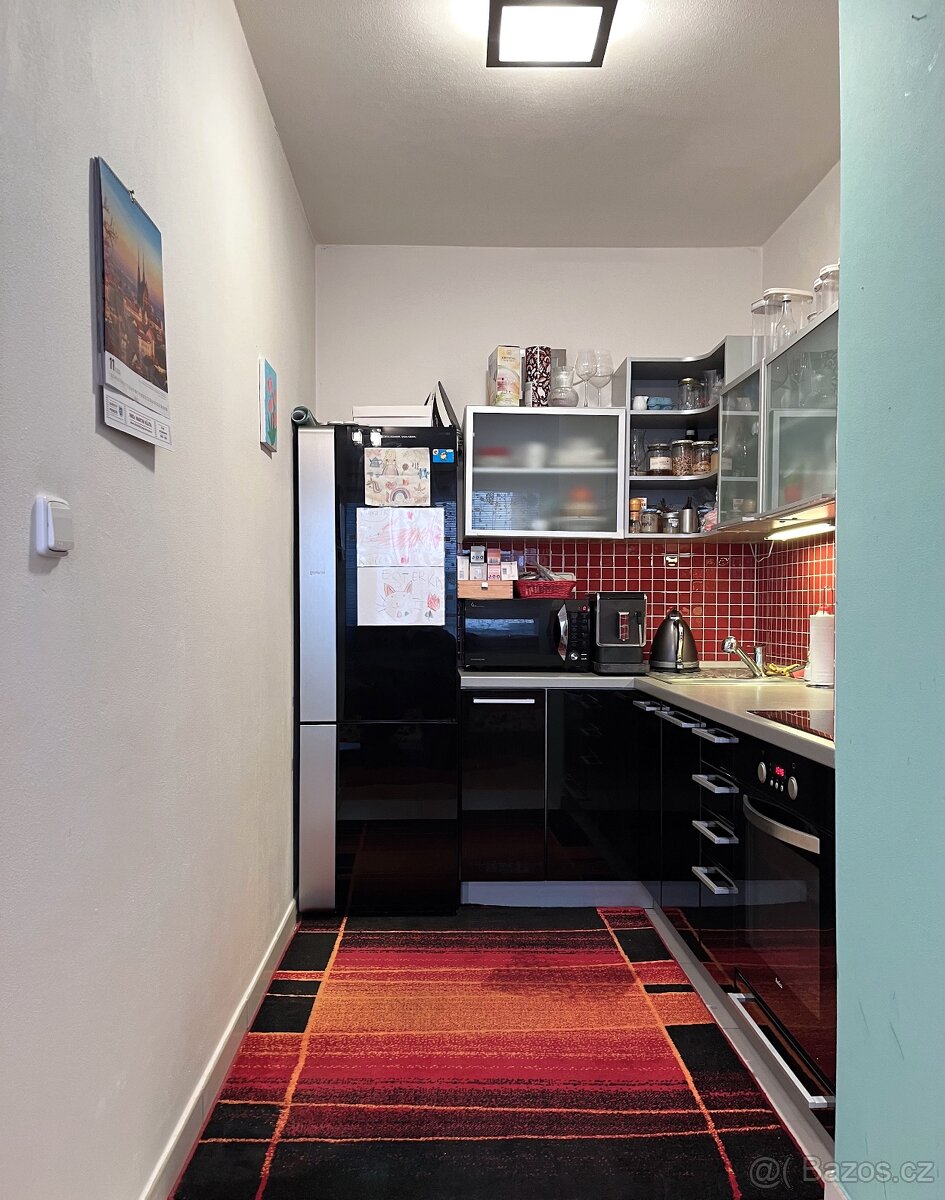 Kompletně zařízený byt 1+kk s terasou Brno Lesná Dusíkova - 8