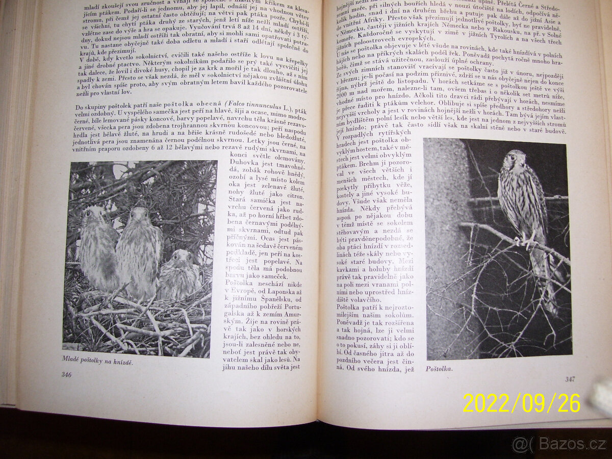 MALÝ BREHM-5 KNIH - 8