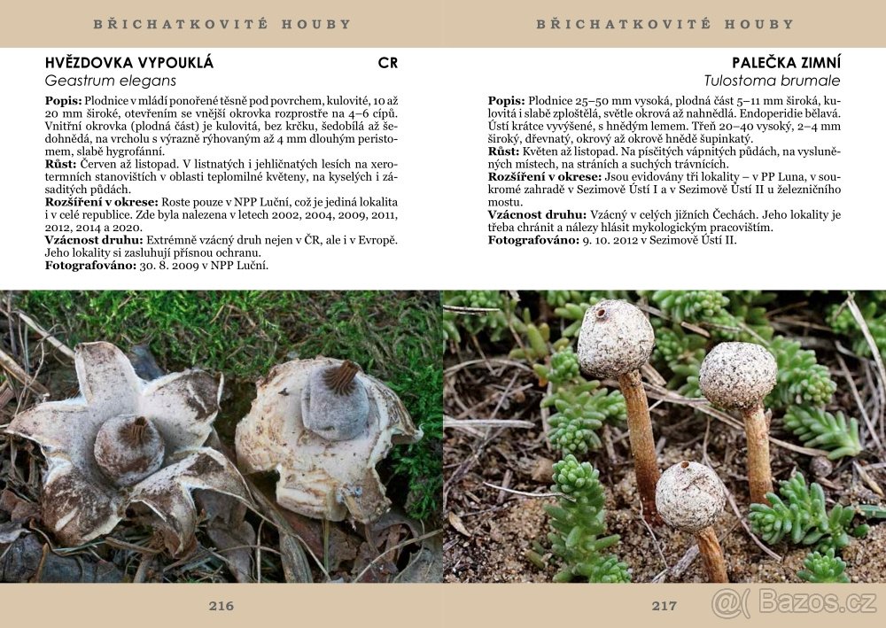 PAVEL ŠPINAR - VZÁCNÉ HOUBY TÁBORSKA - 8