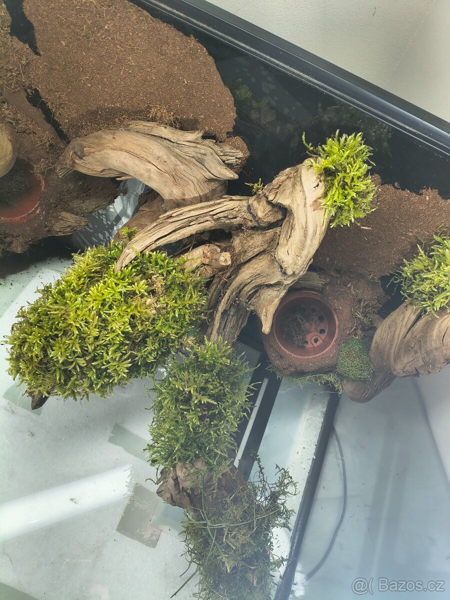 Terárium velké 60x45x45 - 8