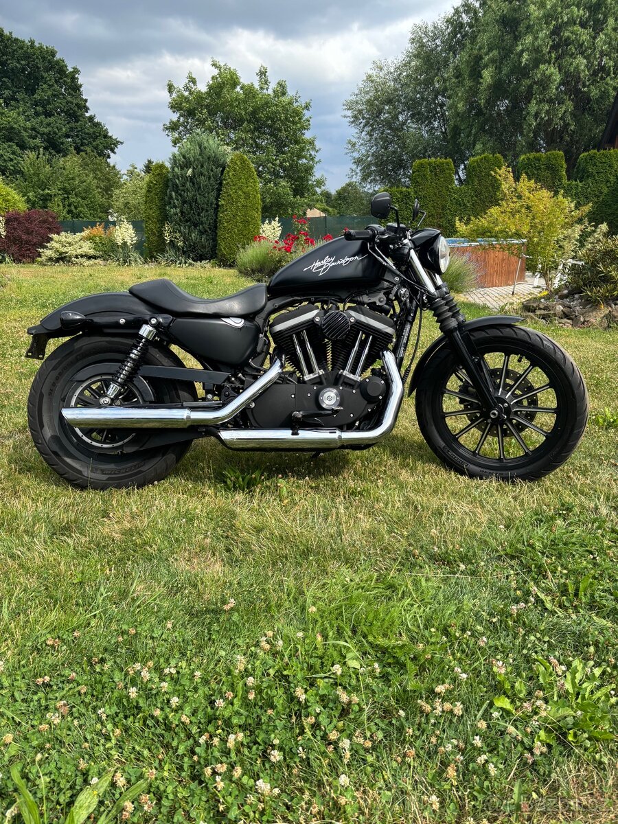 Harley Davidson Sportster iron 883 - 8