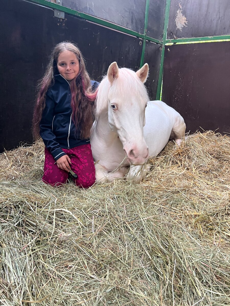 Prodám sportovního pony S - 8