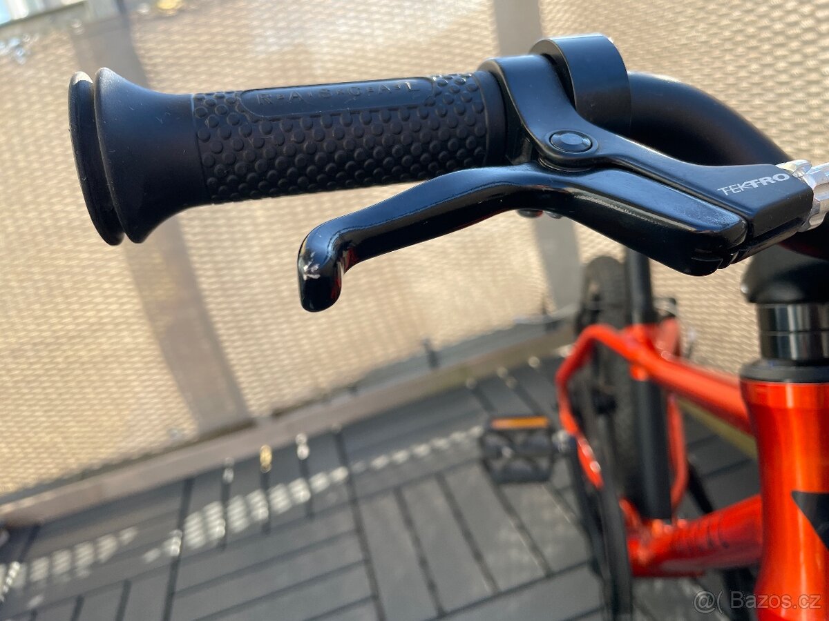 Rascal 16” flame - 8