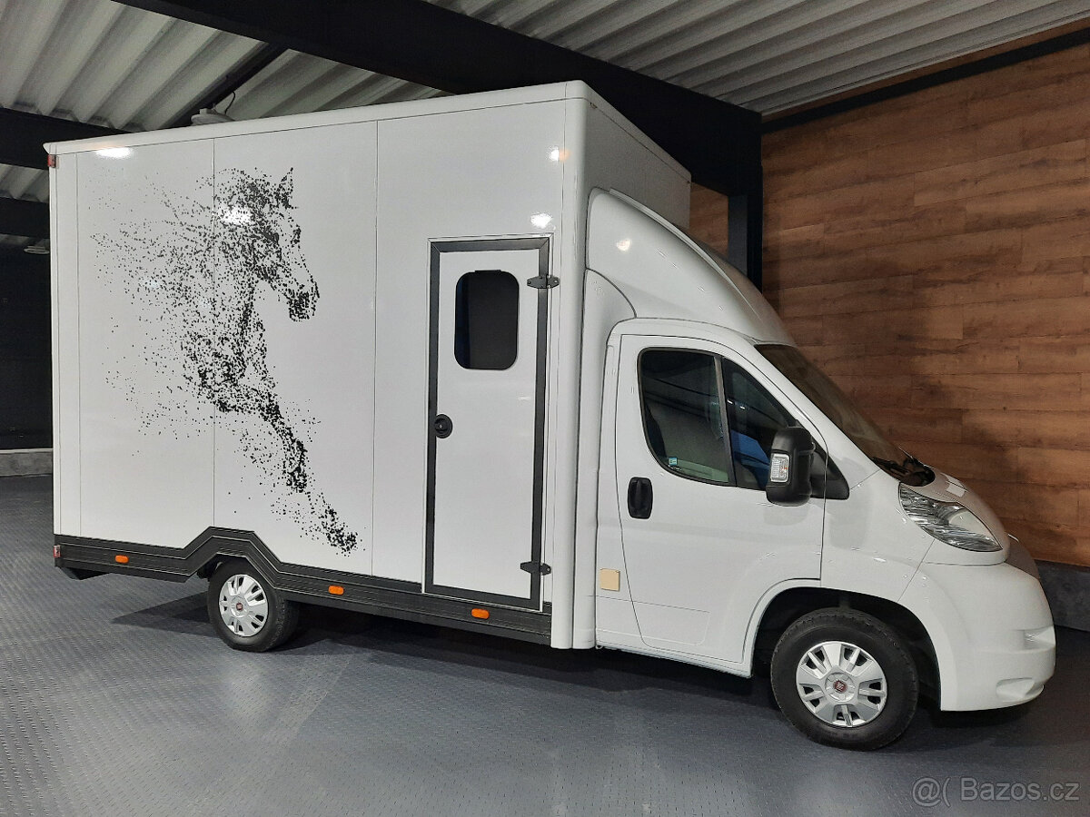 Fiat Ducato - prepravník koní, prepravník na kone - 8