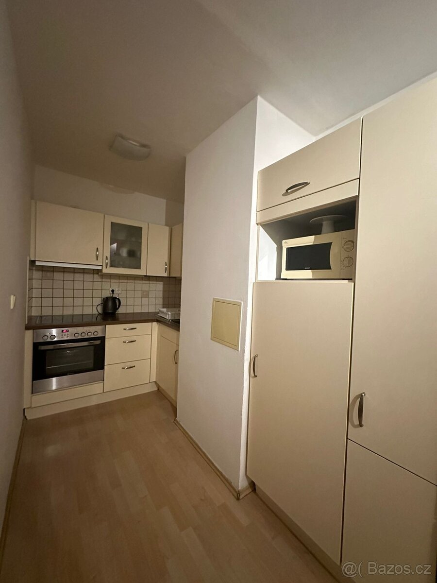 Pronájem bytu 2+kk v Řepích - 8