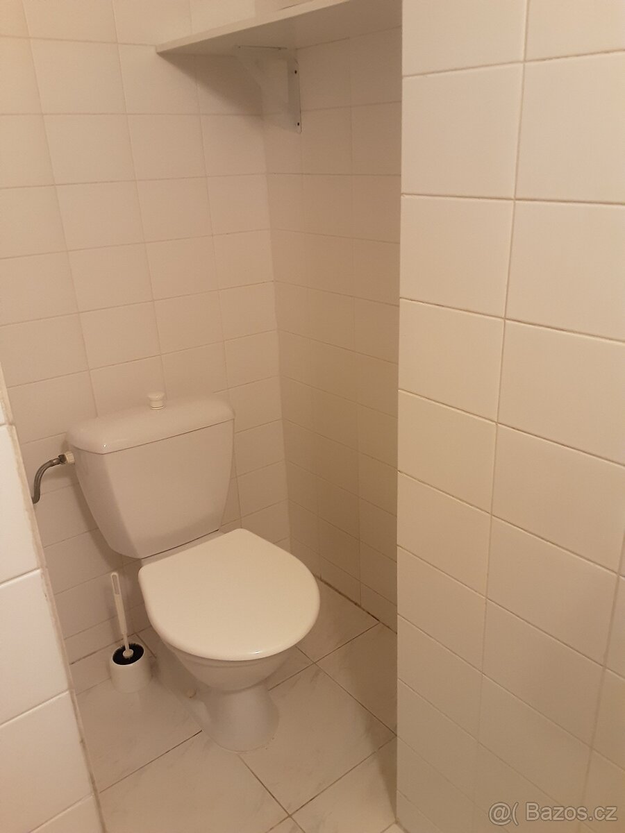 Pronájem byt 3+ kk 90 m² Mariánské Lázně - 8