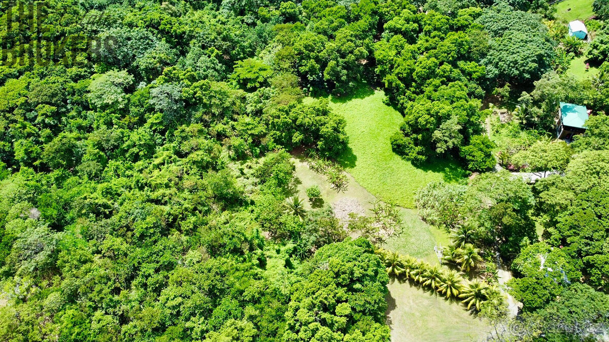 Punta Blanca, Lot 4 - 8