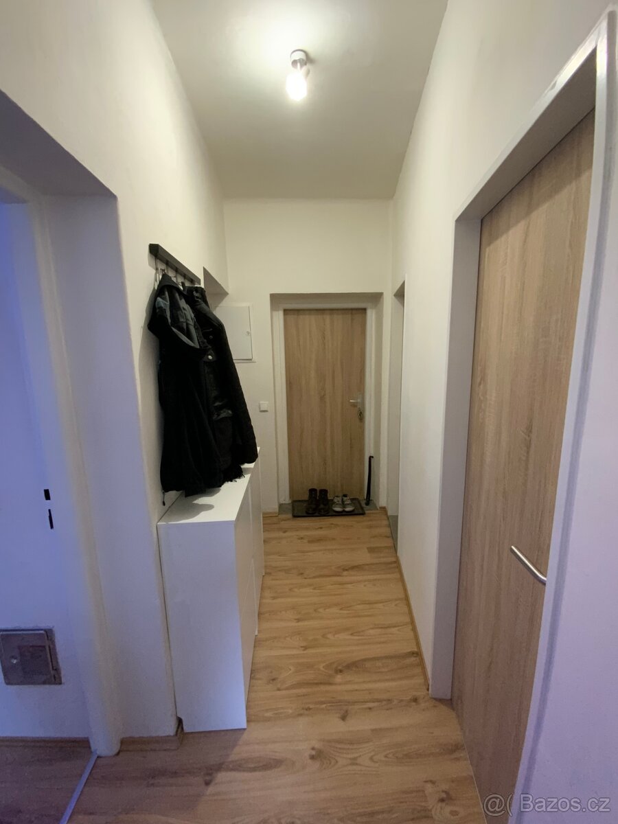 Pronájem bytu 4+kk s předzahrádkou a parkováním - 8