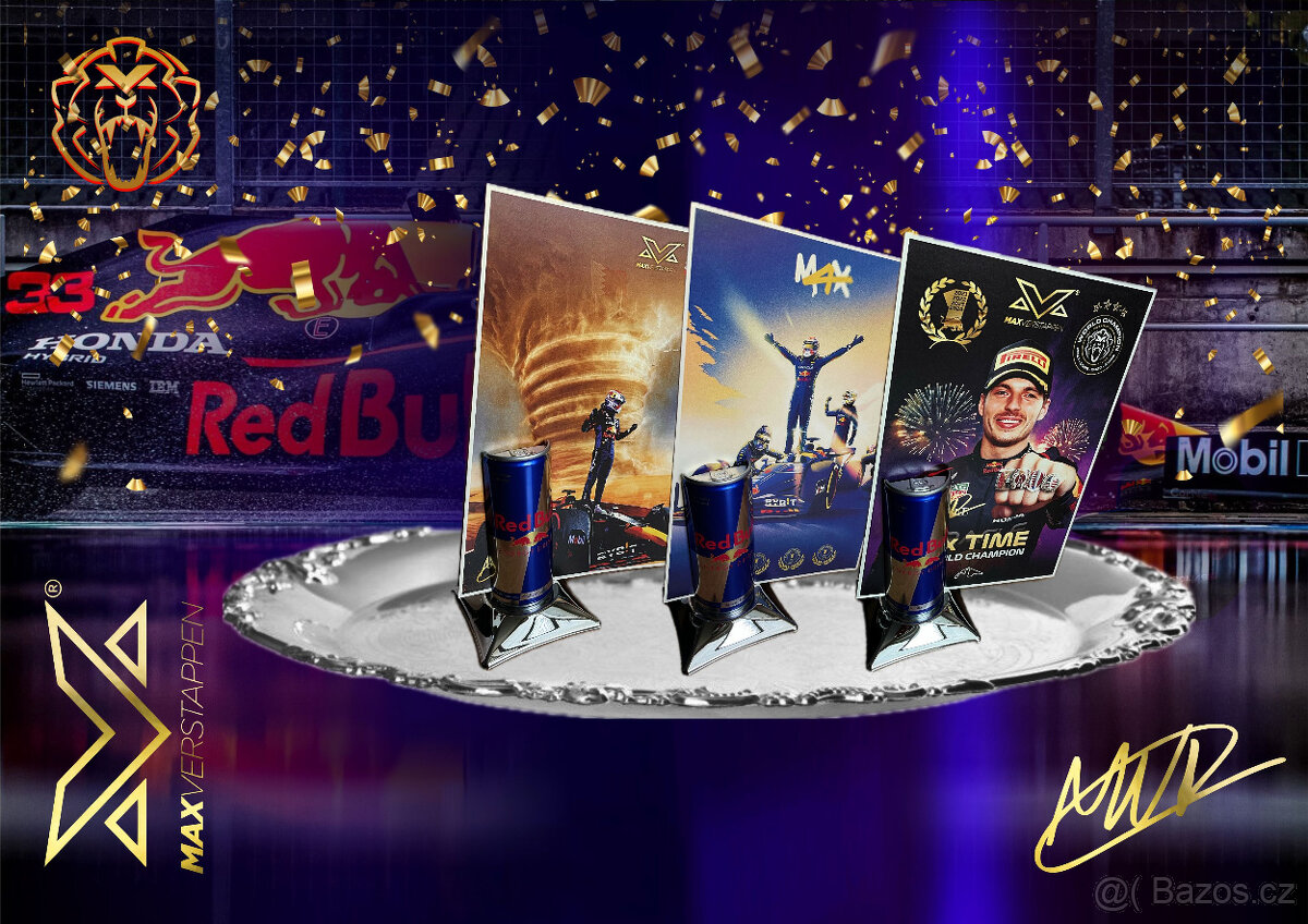 Max Verstappen 2021 World Champion Red Bull F1 RB16B Abu Dha - 8