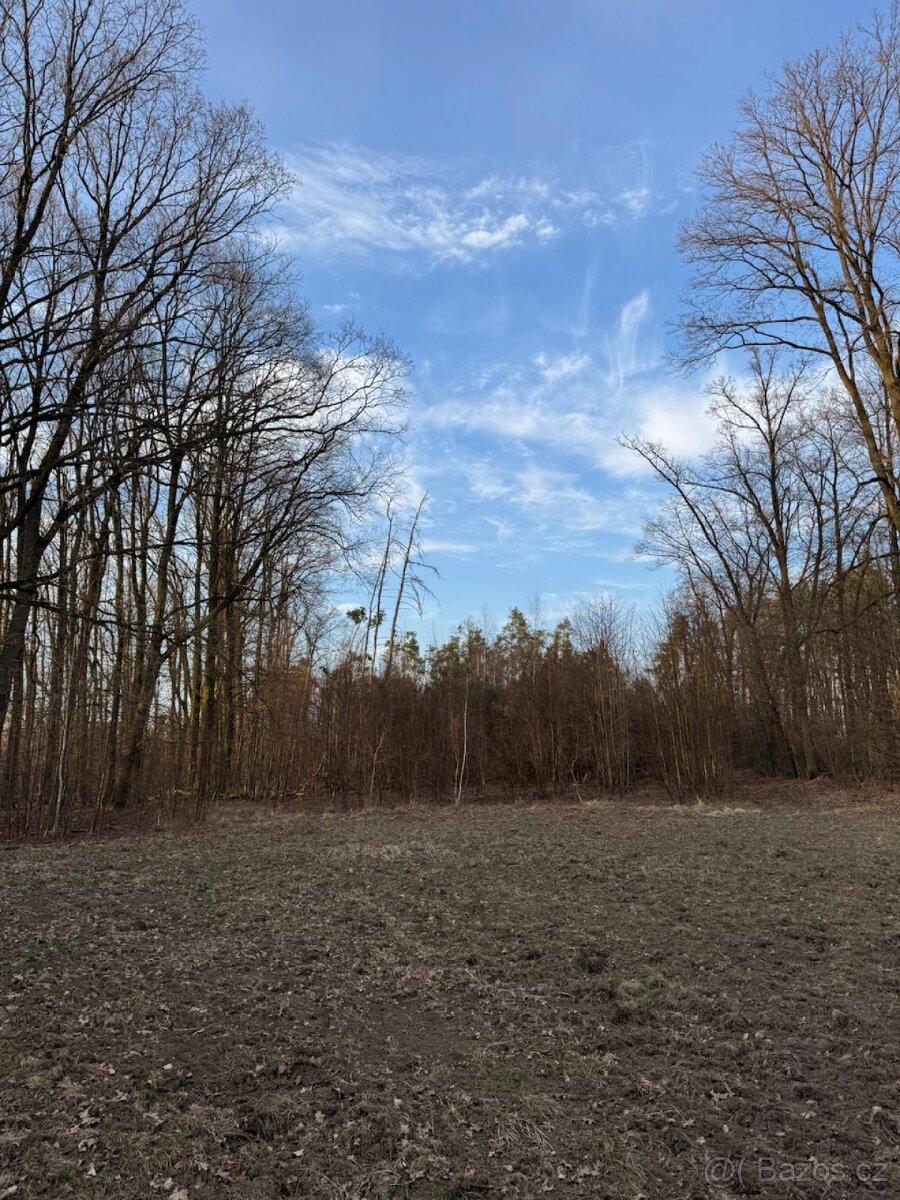 Prodám pozemky v k.ú. Stéblová - 8