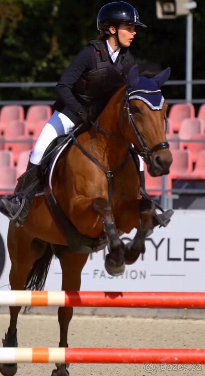 Sportovní PONY B - 8