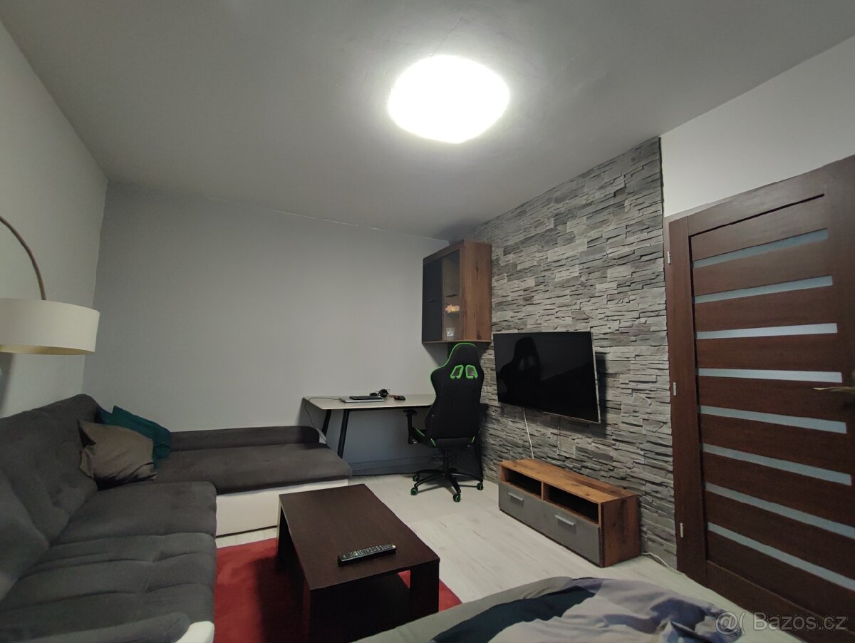 Prodám byt 1+1, 30,50m2 v obci Práče - 8