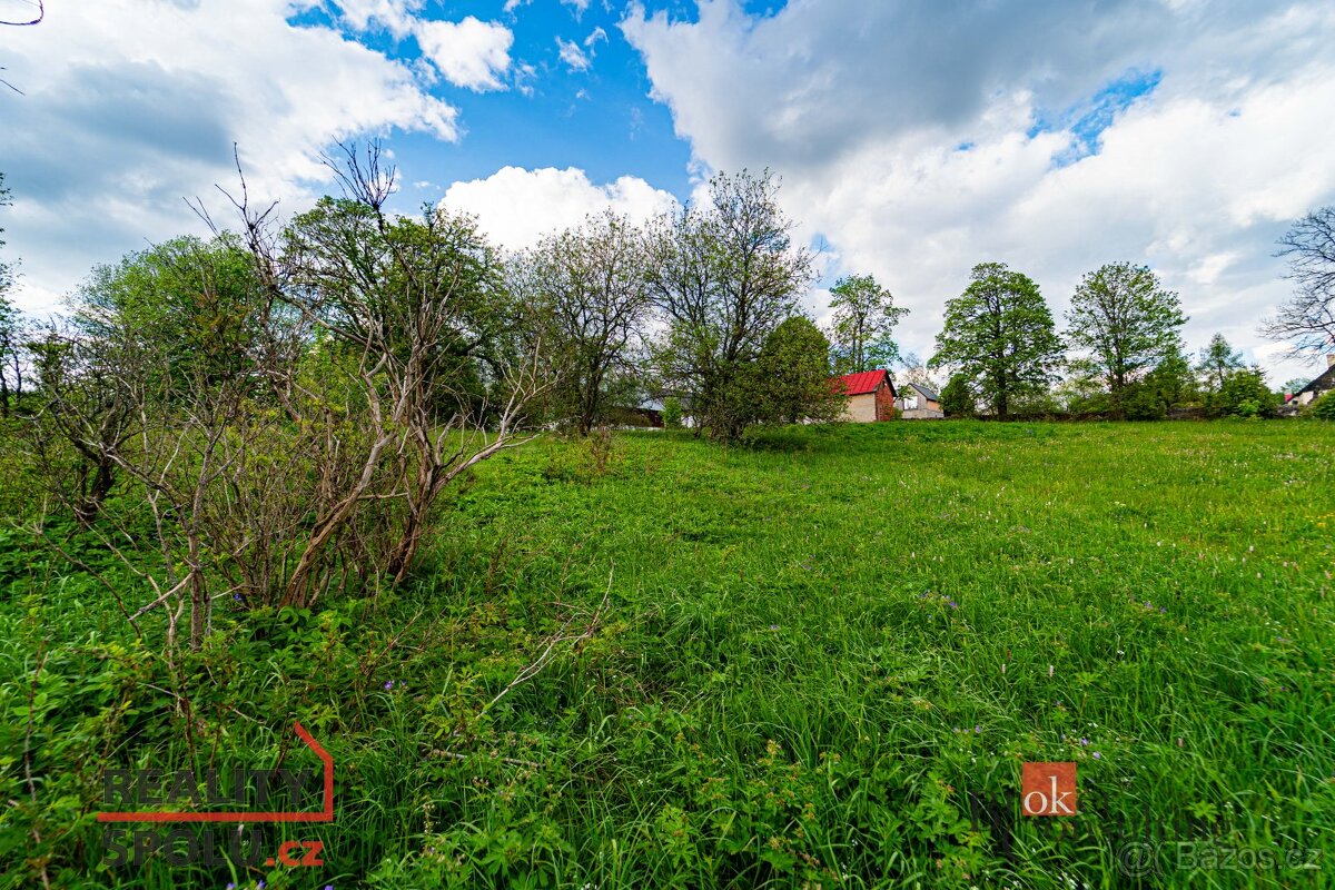 Prodej, pozemky/bydlení, 9951 m2, Hamerská, Horní Blatná, Ka - 8