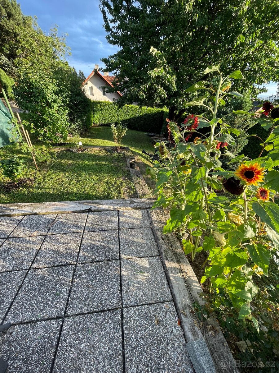 Pronájem zahrady / skladu - 8