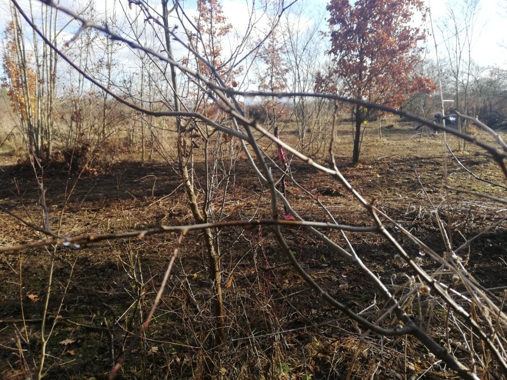 Olomouc řepčín zahrádka 455 m2 - 8