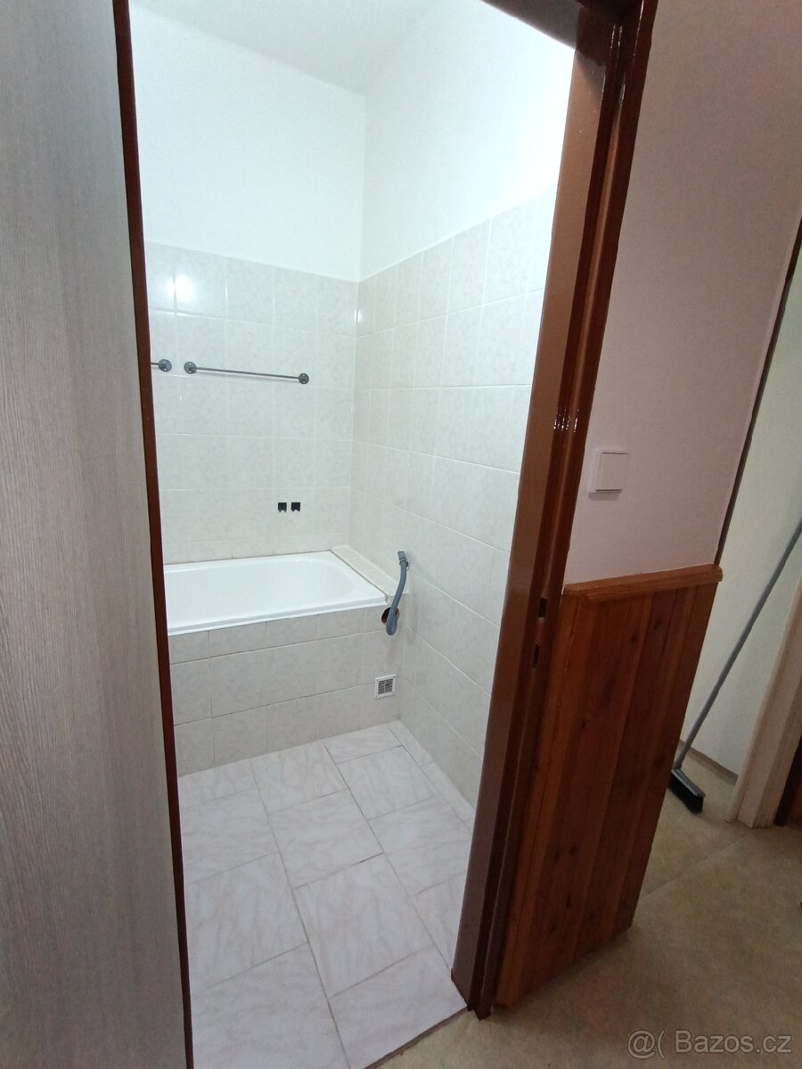 Pronájem bytu 2+1 - 8