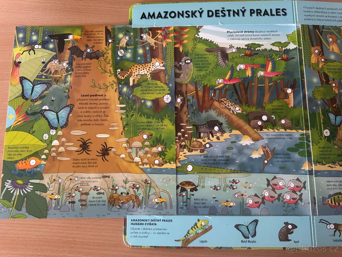 Kniha Mapy a Svět divičiny - 8