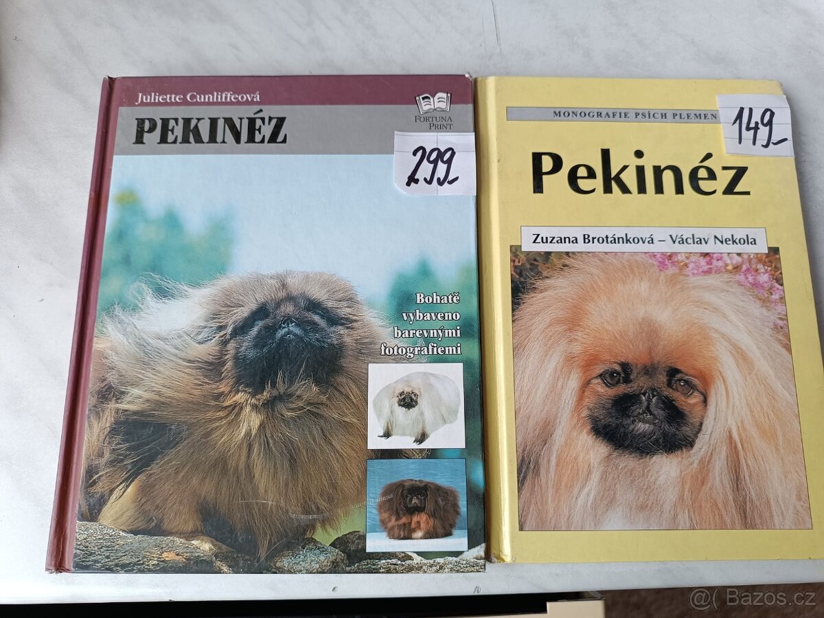 Afghánský chrt pudl westik bišon frise retrivr - 8