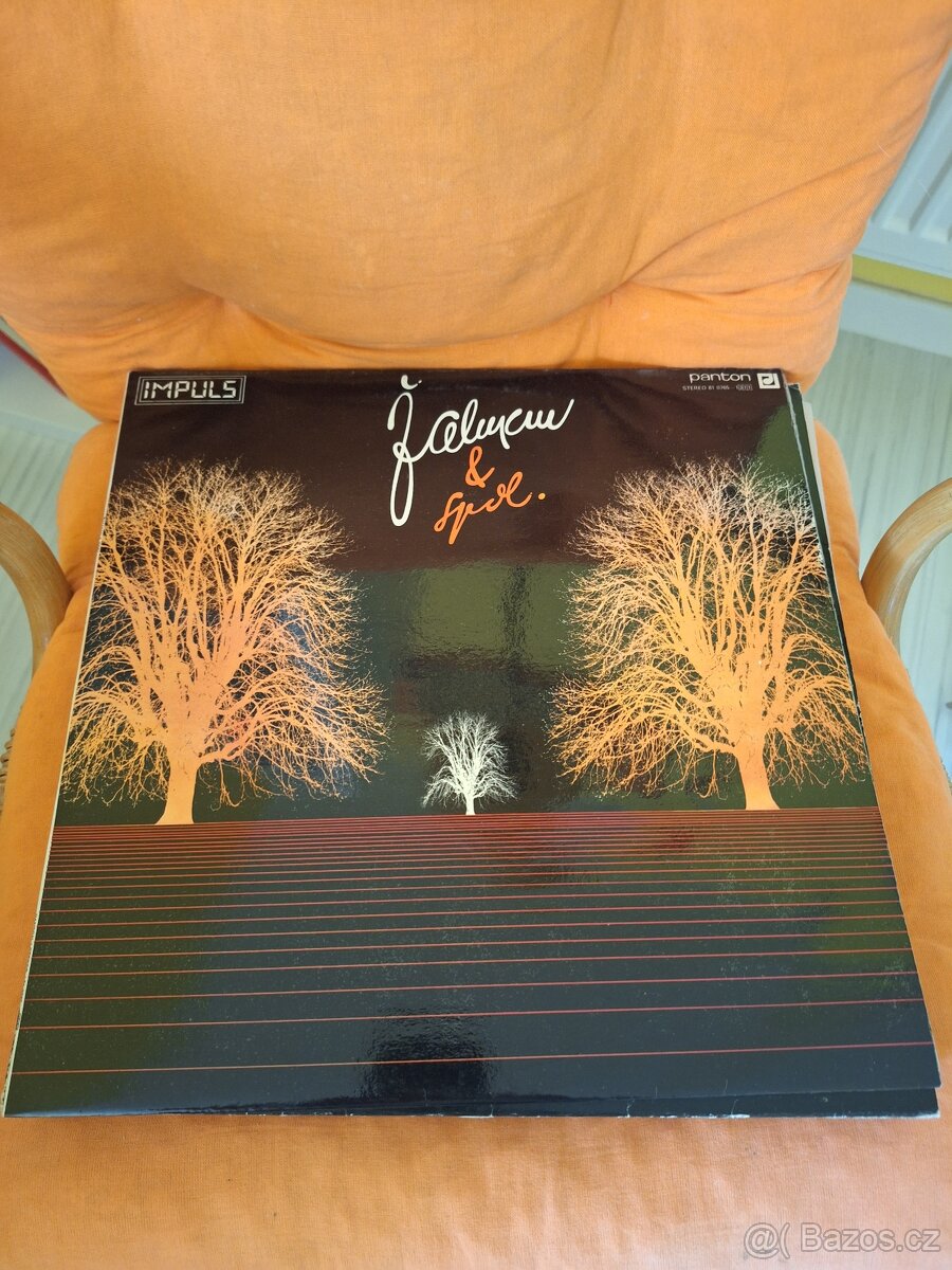 Velké desky - LP - 8
