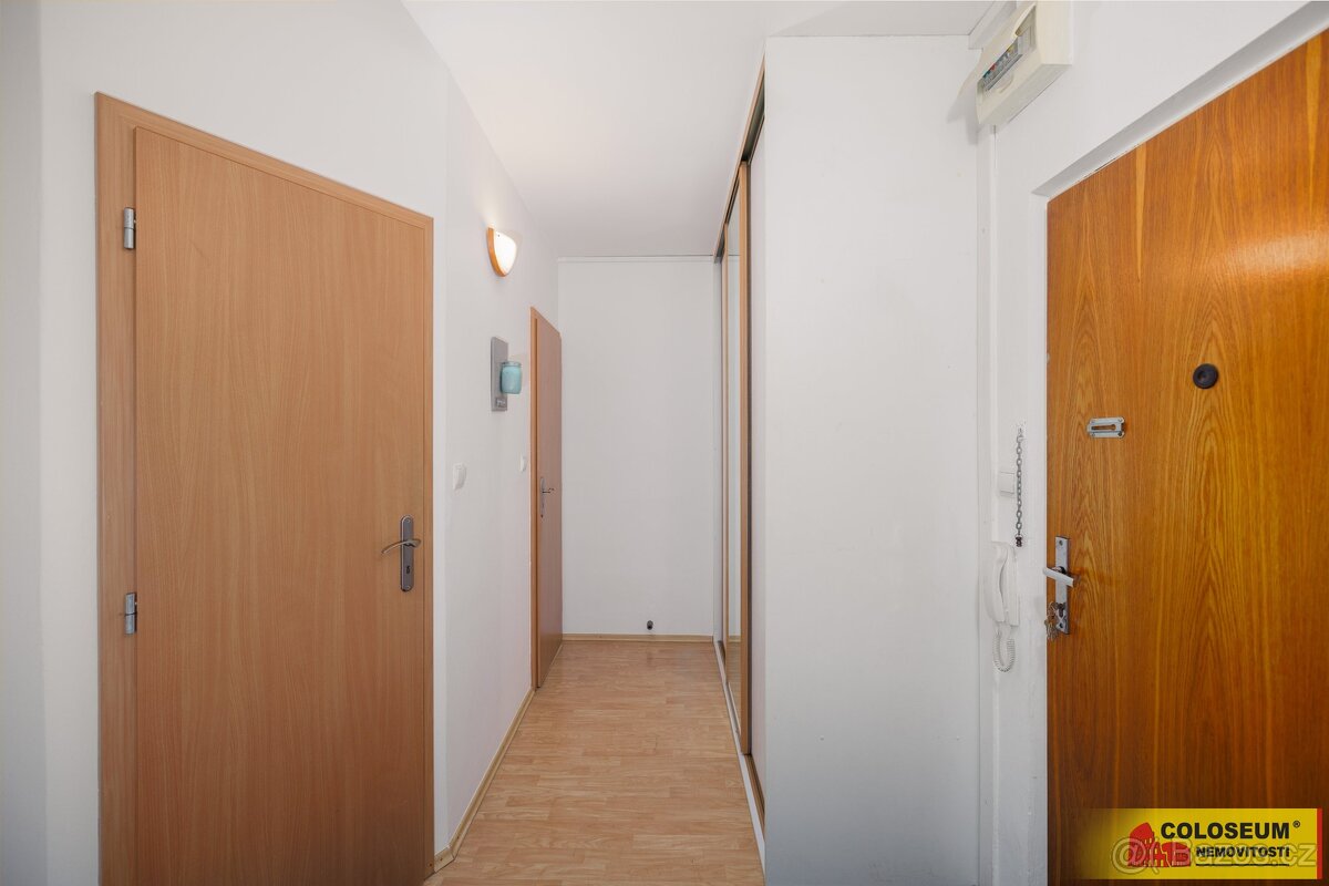 Brno - Královo Pole, byt OV 1+1, sklepní kóje, lodžie, inves - 8