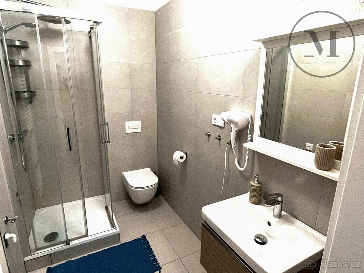 Pronájem bytu 2+kk - 8
