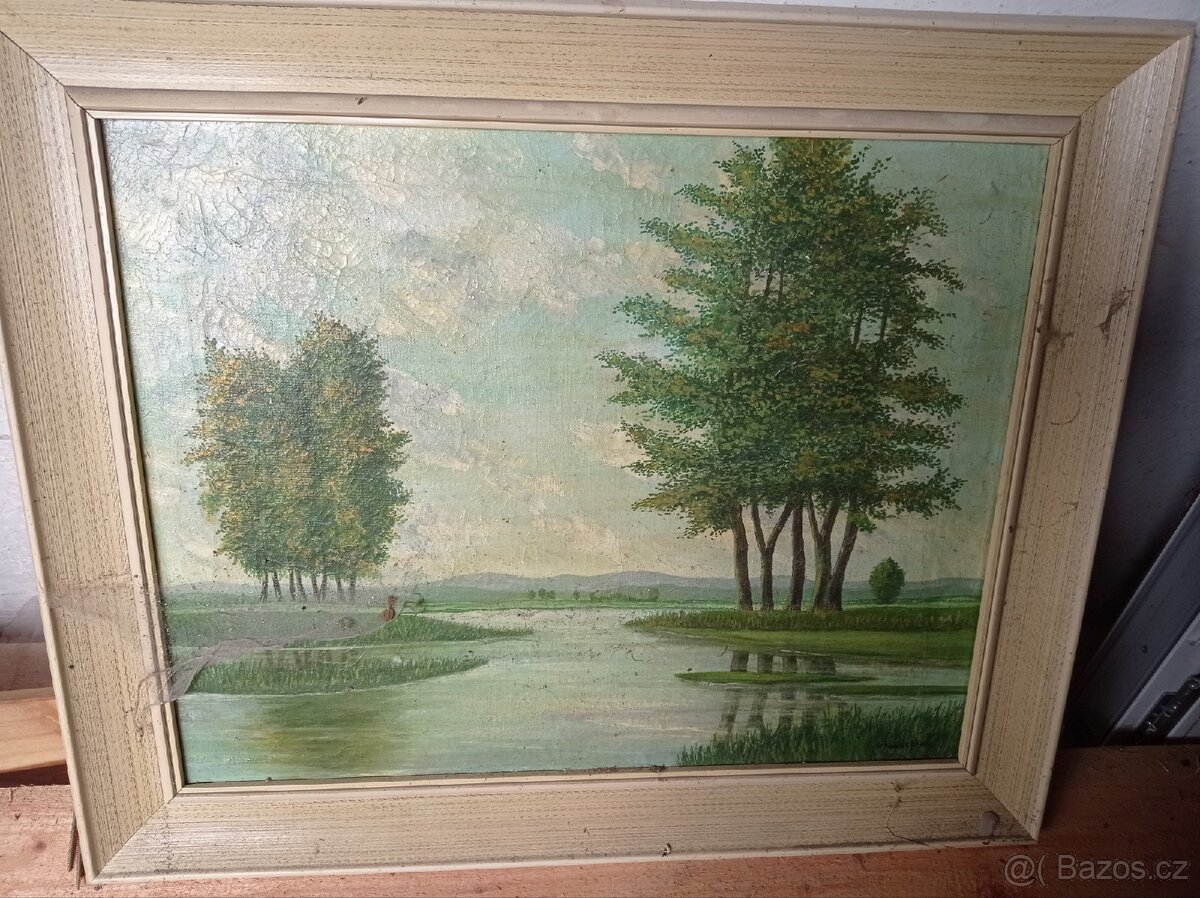 Obrázek obraz obrazy - 8