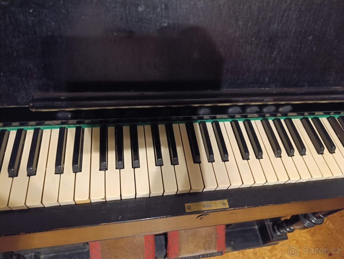 Harmonium Kotykiewicz - 8