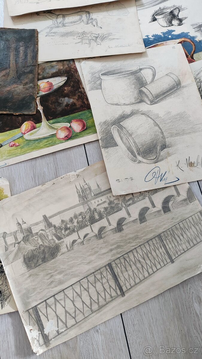 Obrazy, obrázky - 8