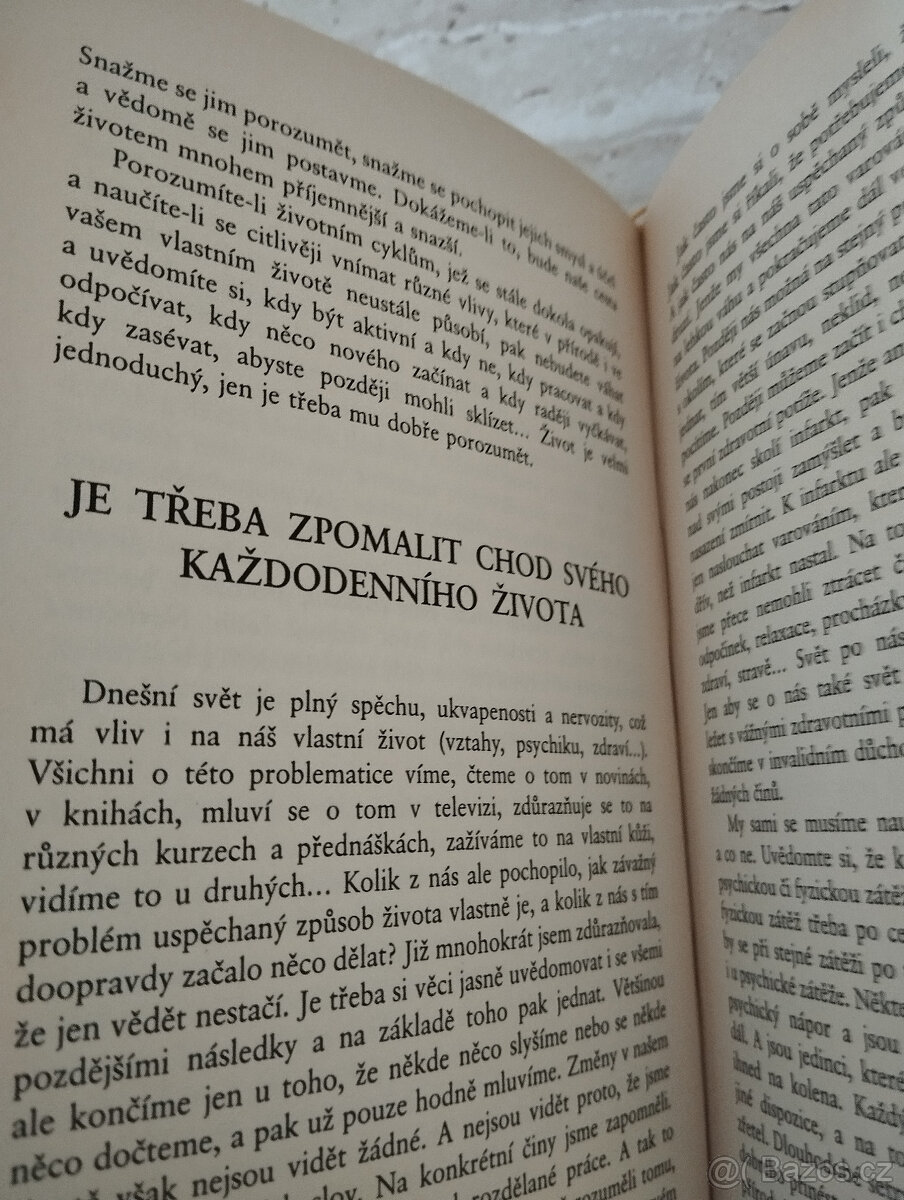 Miroslava Holoubková Na konci cesty nás čeká poznání - 8