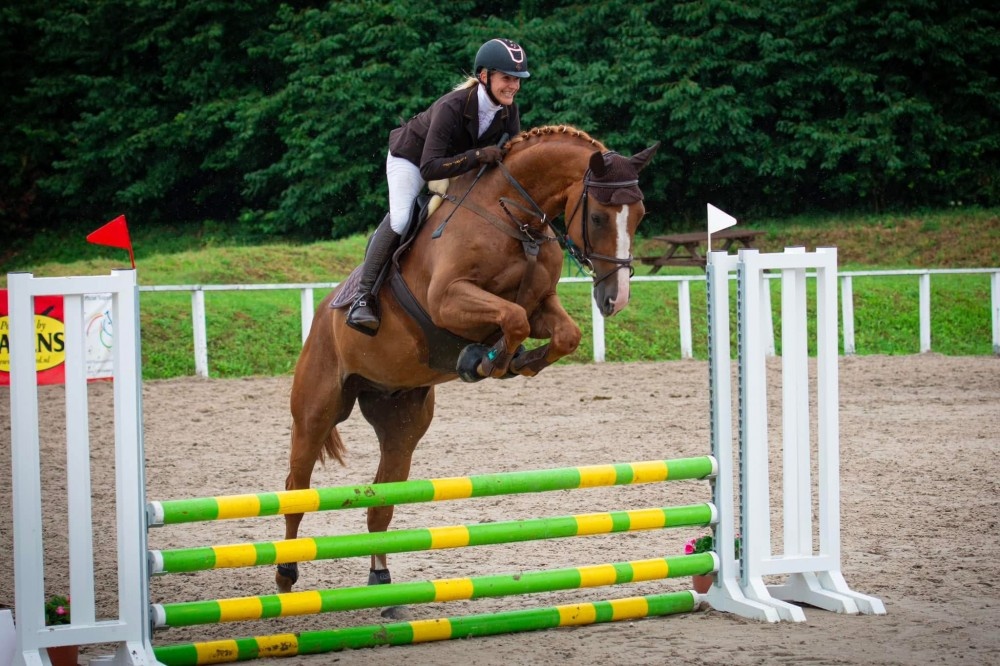 líbivý 7 letý valach po Quidam Sohn - 8