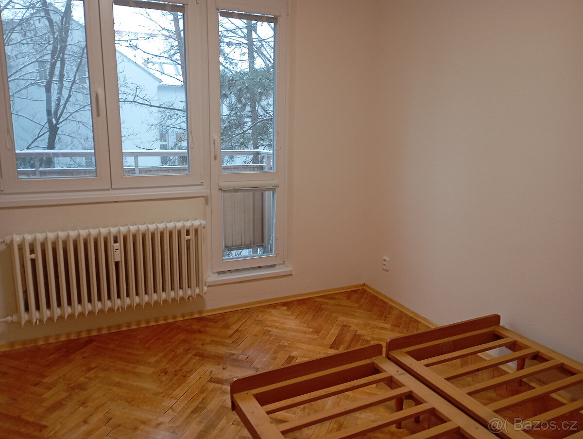 Pronájem bytu Vídeňská - 8