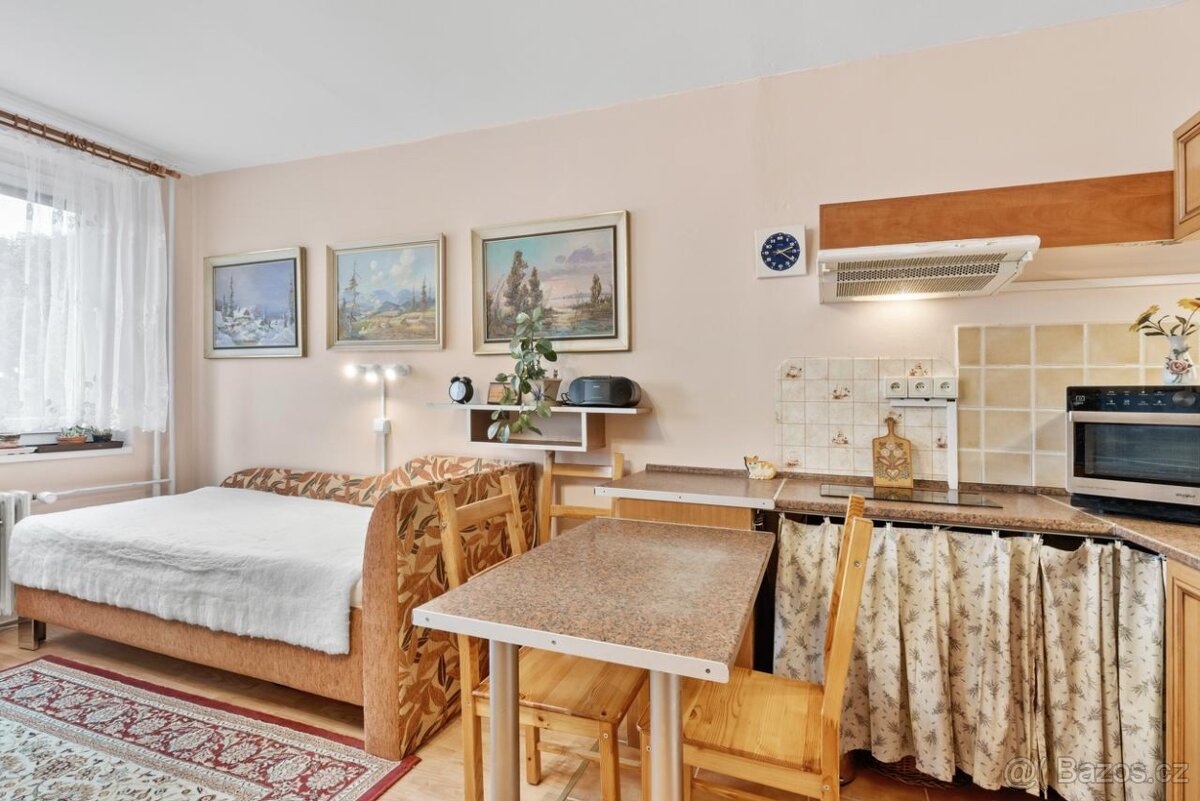 Pronájem bytu 1kk Ústí nad Labem - 8