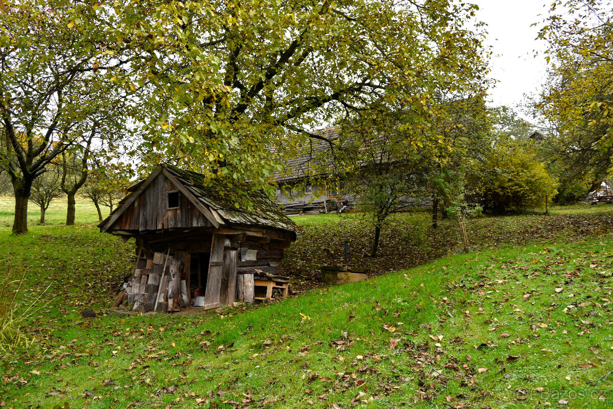 Janov - zemědělská usedlost se stodolou a pozemky 11 612 m2 - 8