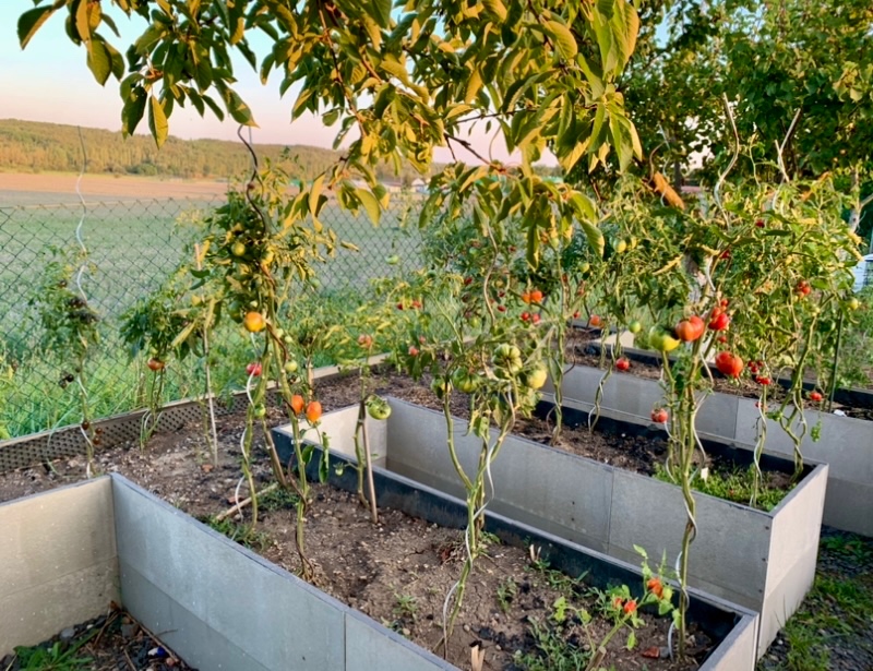 Cetris desky cementotřískové - 8