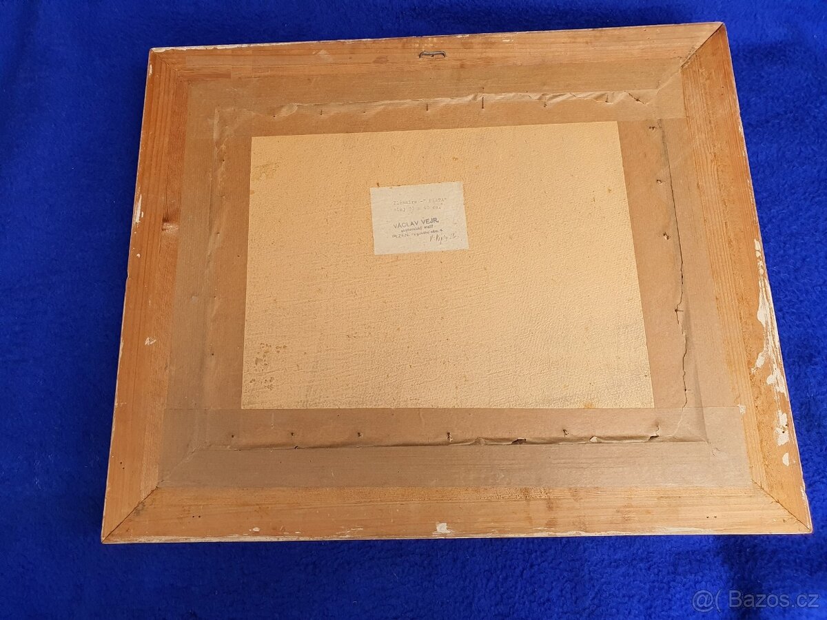 Obraz ak.malíř Václav Vejr – Blata, perfektní stav, sklo - 8