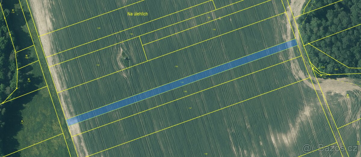 Prodám pozemky v k. ú. Holičky u Staré Hlíny - 8