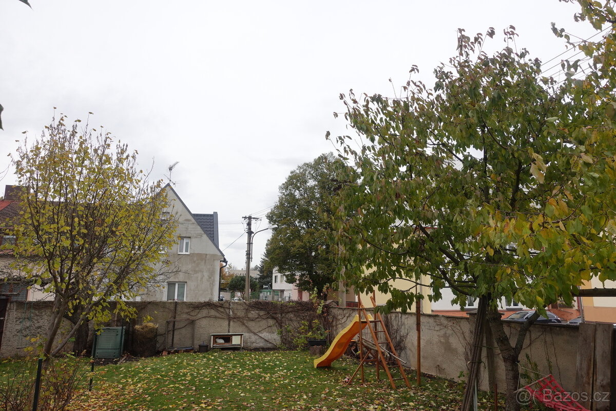 Pronájem zděného bytu 2+1 v OV, Svitavy - 8