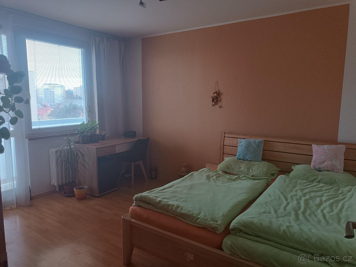 Prodej bytu 3+1, Mandysova, Hradec Králové - 8