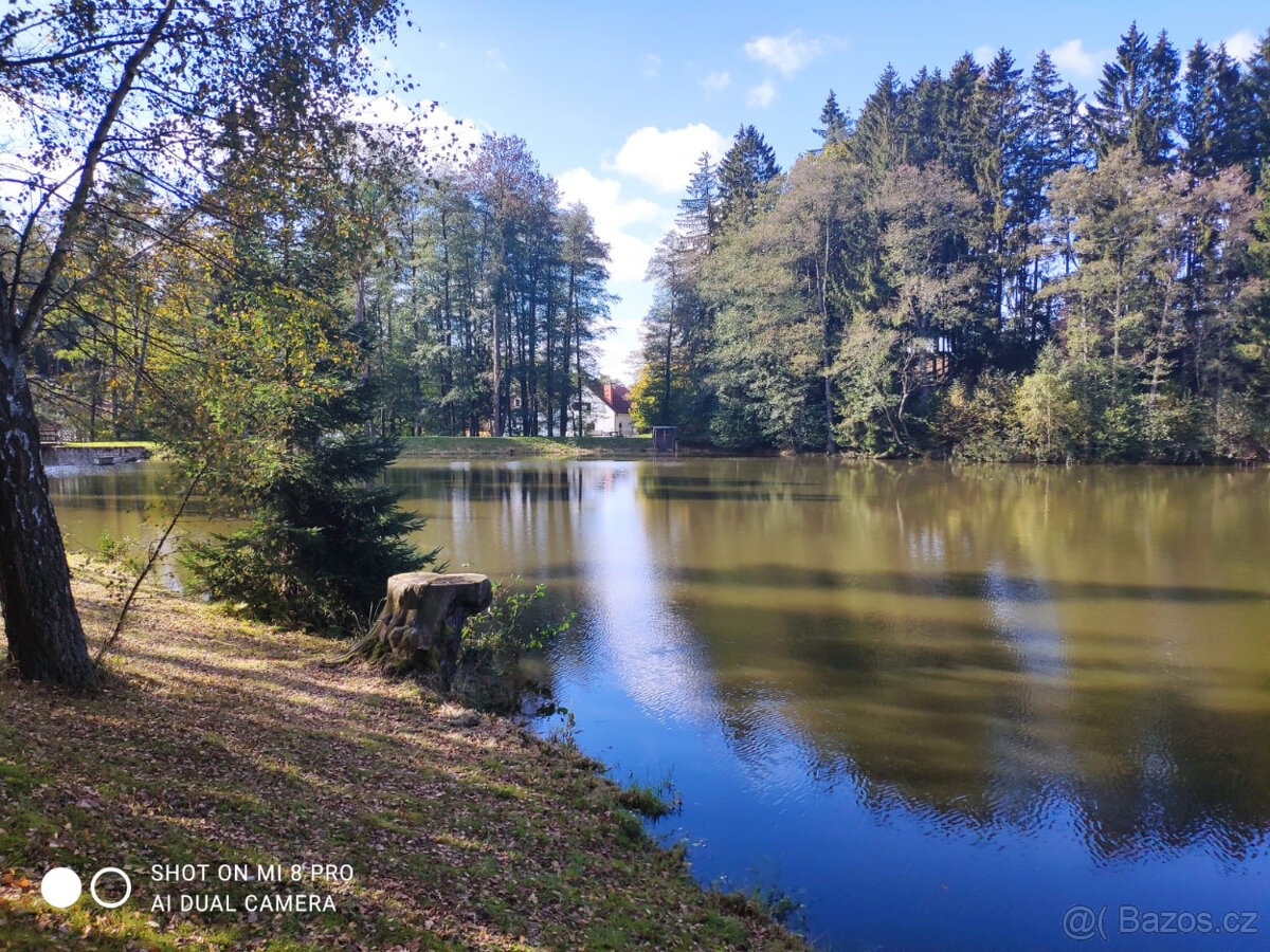 Půvabný mlýn s rybníky, lesy, pastvinami, 5 apartmanů - 8