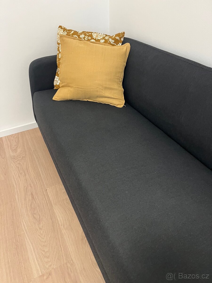 Prodam pohovku IKEA LINANÄS - 8