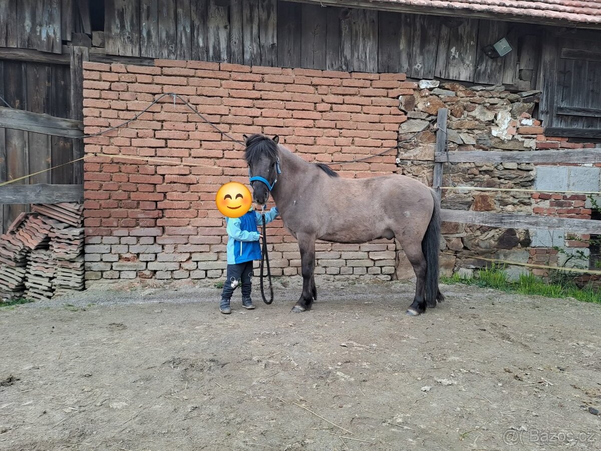 Pony valášek - 8