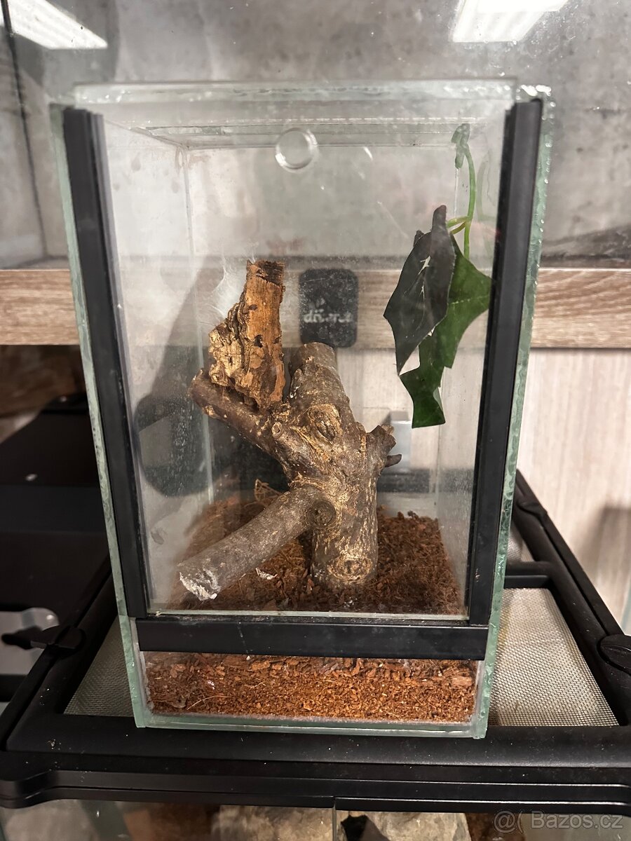 Terárium-akvárium - 8