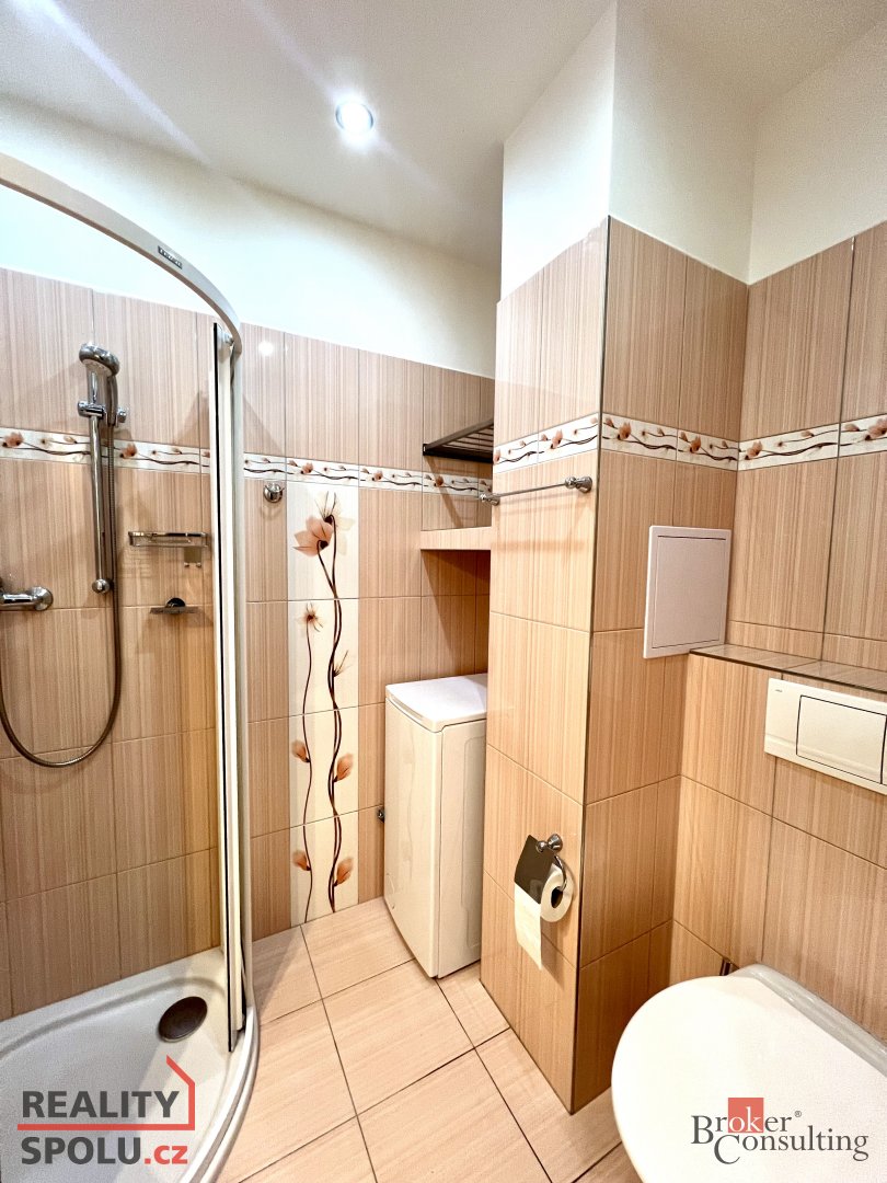 Pronájem, byty/1+1, 24 m2, Charkovská 1246/5, Poruba, 70800 - 8