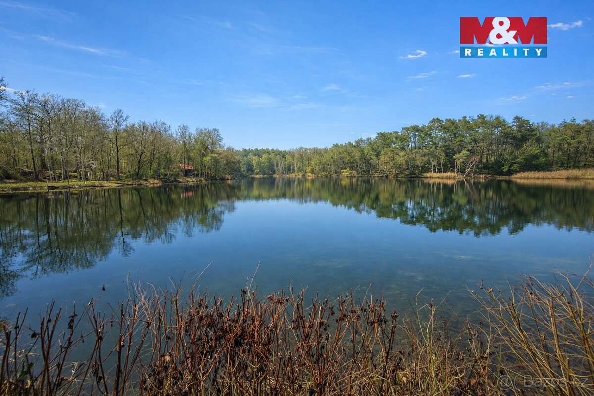 Prodej chaty 18m2, Jívový rybník, osada Jivák, Loučeň - 8