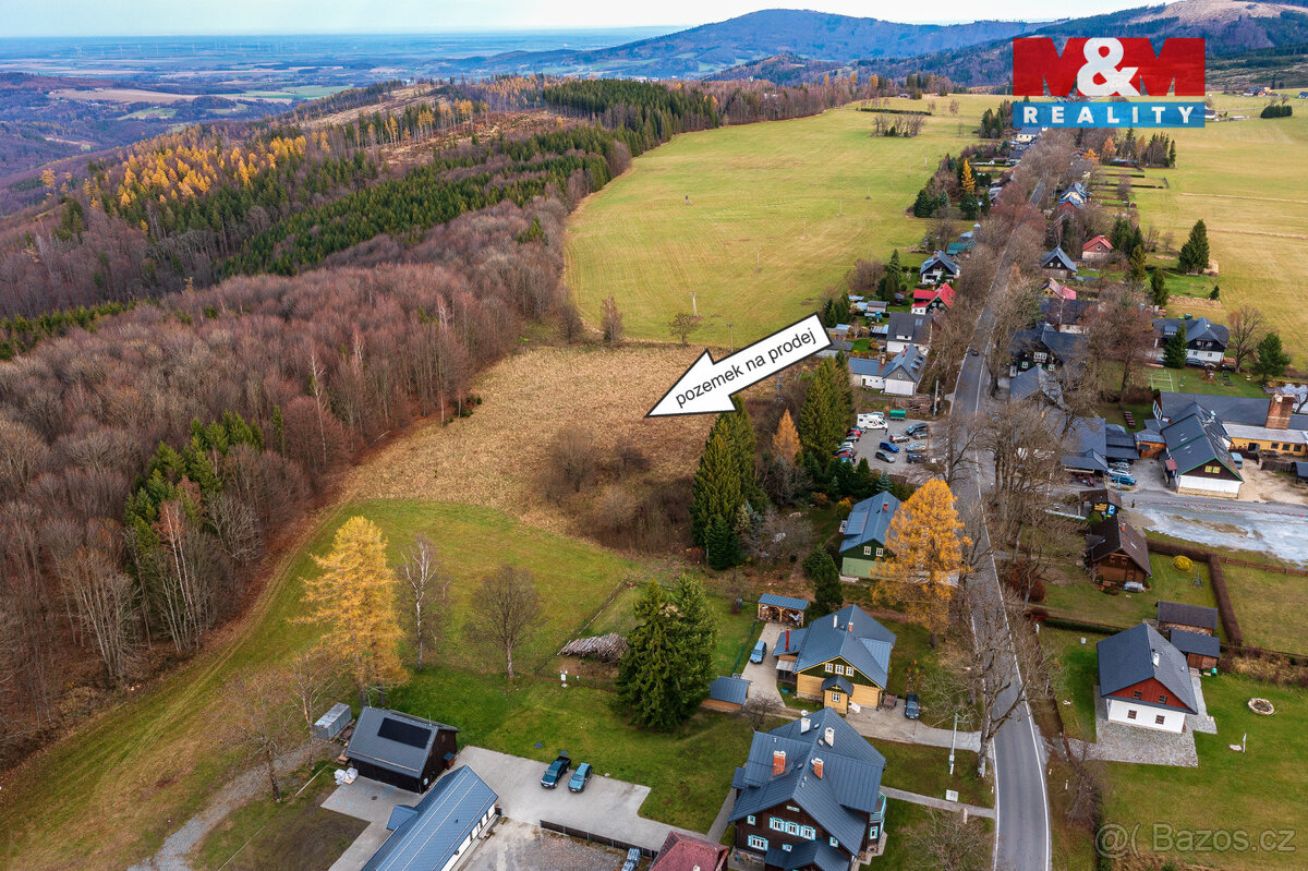 Prodej louky, 8554 m², Zlaté Hory - Rejvíz - 8