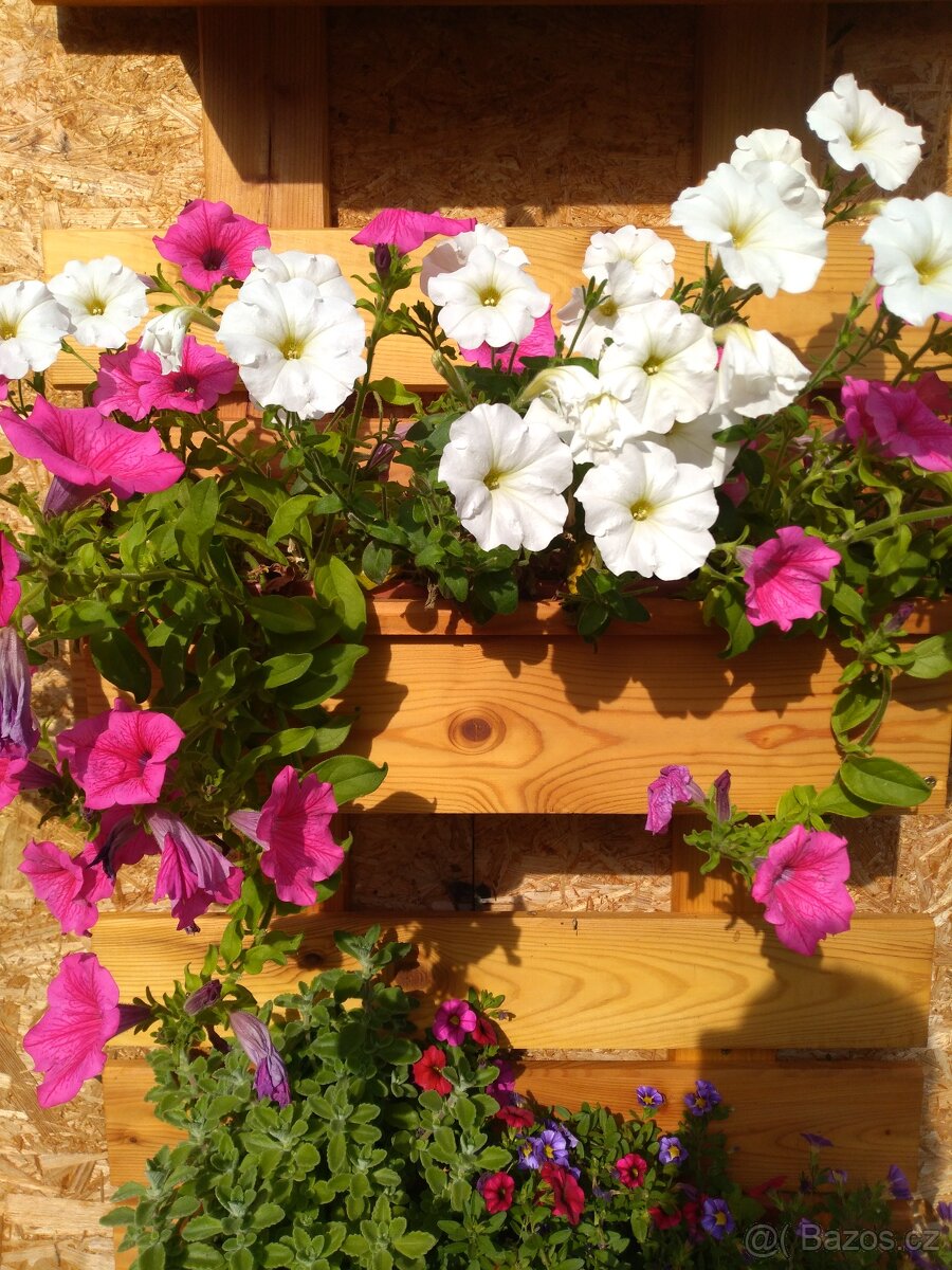 Vyvýšený záhon z modřínu. - 8