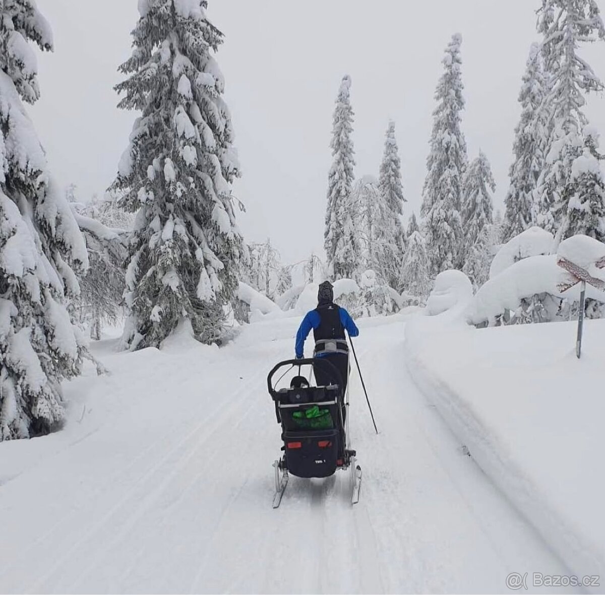 Thule Chariot Sport - 8